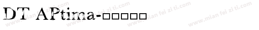 DT APtima字体转换